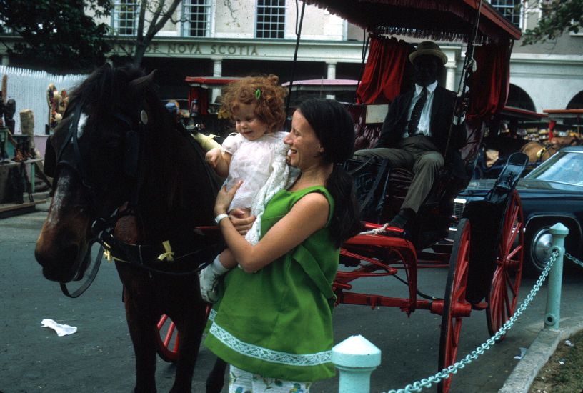  petting horse in   Nassau, Bahamas